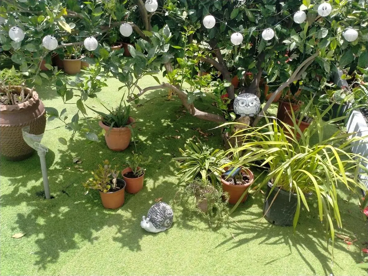Casa Nine Con Piscina Vacacional La Palma Apartment Brena Baja
